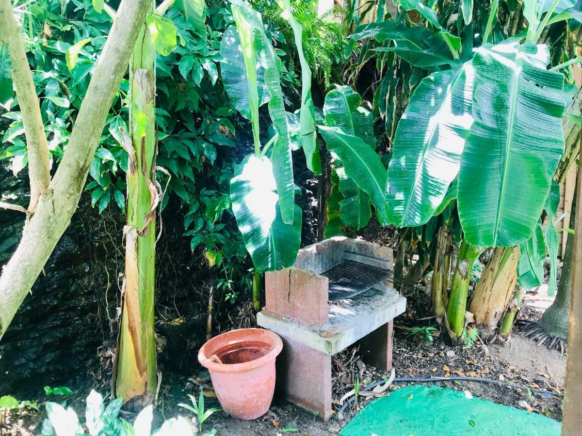 Villa Figues Et Mangos Terre-De-Haut Ngoại thất bức ảnh